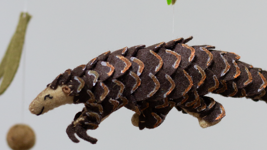 Nurturing Curiosity - Teaching Kids About Conservation