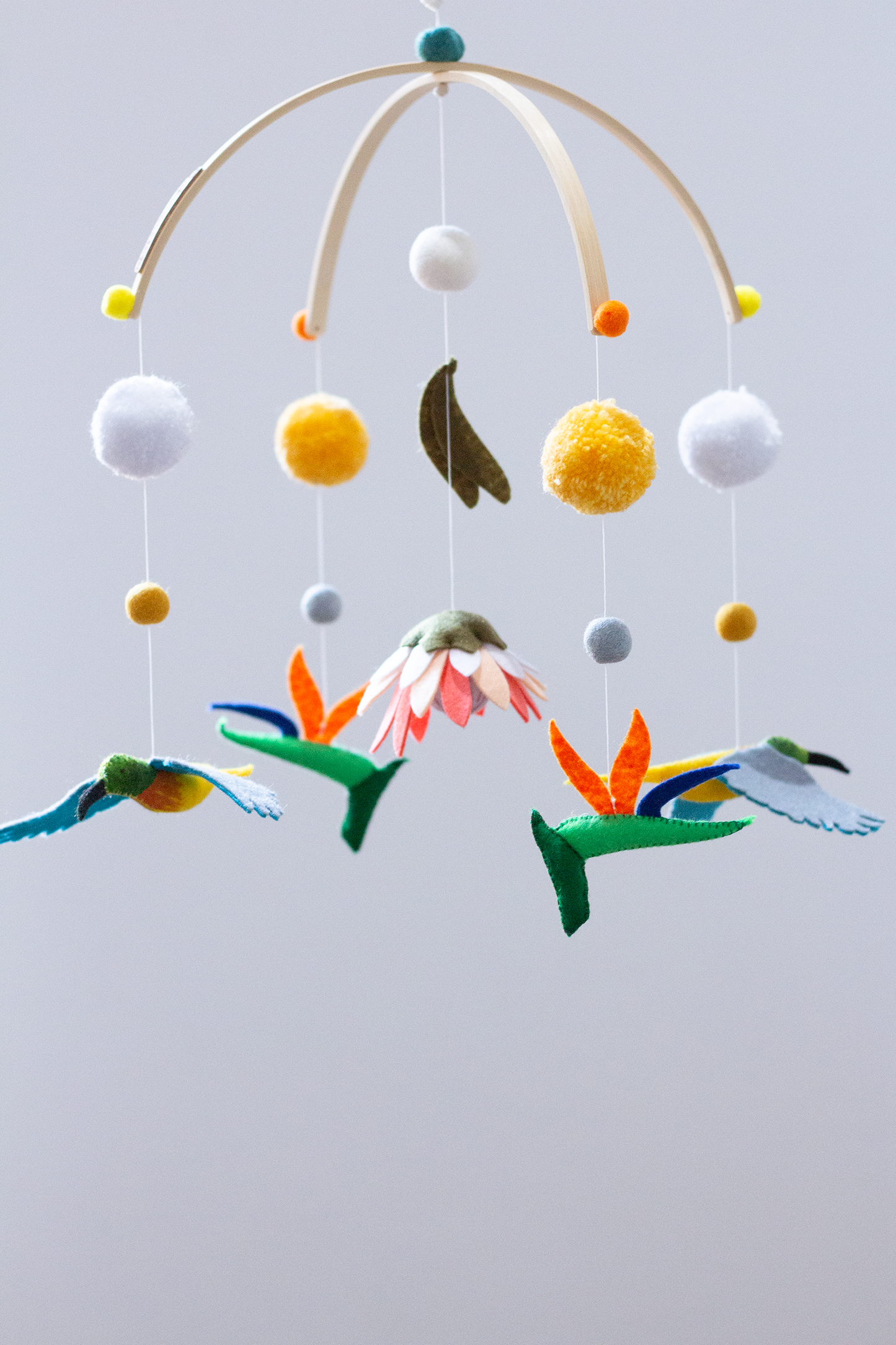 Cape Fauna & Flora V1 Split Frame Mobile