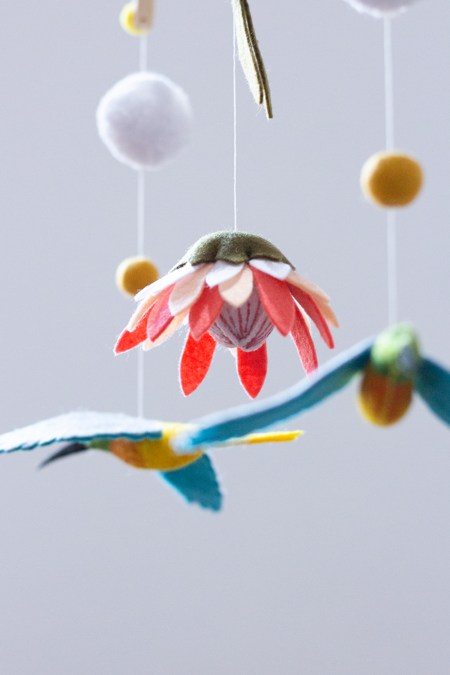 Cape Fauna & Flora V1 Split Frame Mobile